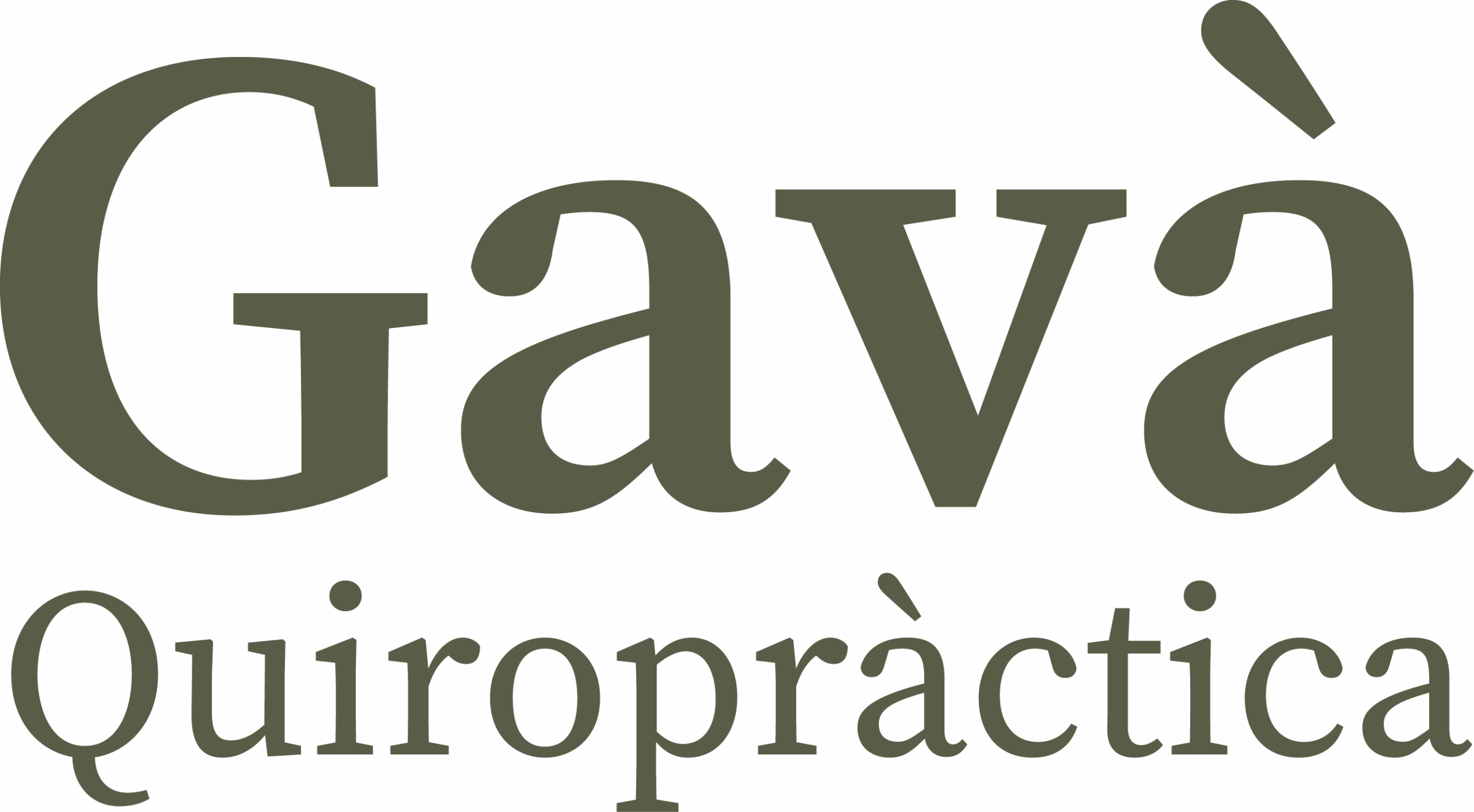 Gavà Quiropràctica